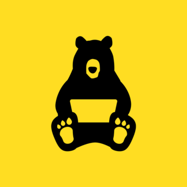 Coding Bear